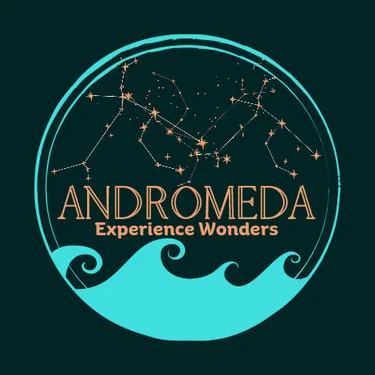 هوية بصرية كاملة للعلامات التجارية — Andromeda