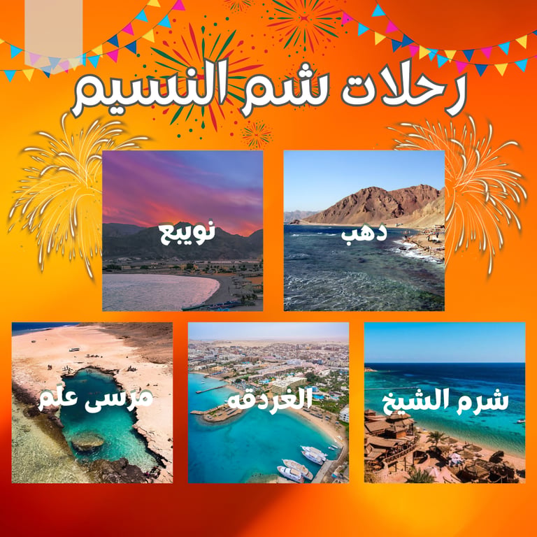 Nuweiba Travel
