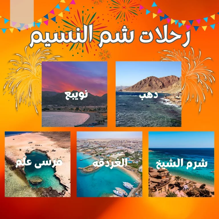 تصميم حملة رحلات نويبع السياحية